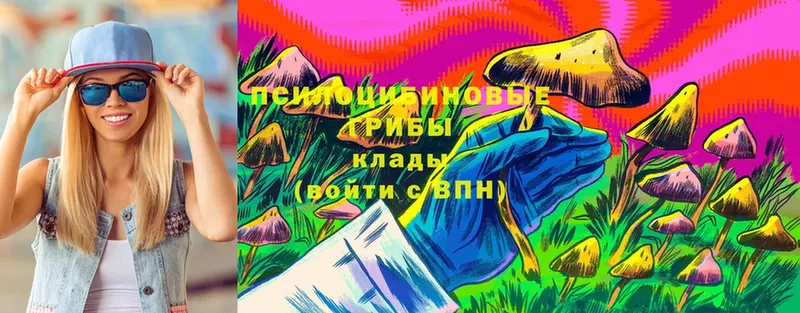 наркошоп  Кандалакша  Псилоцибиновые грибы Cubensis 