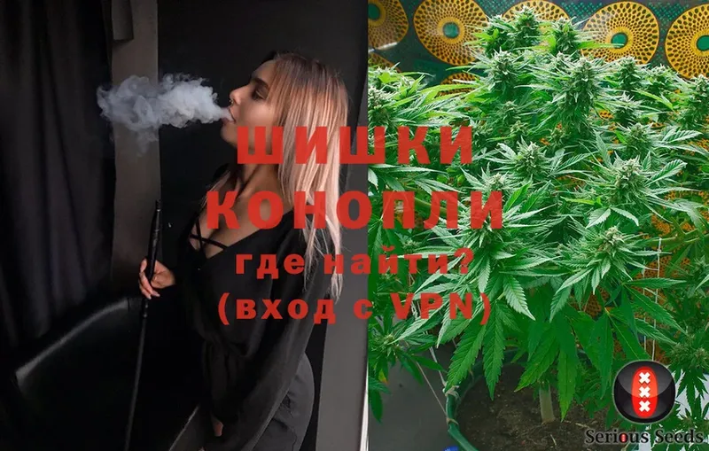 купить  сайты  Кандалакша  Шишки марихуана SATIVA & INDICA 